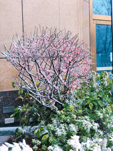 2月15日林榕日记1.jpg 2月15日林榕日记1.jpg