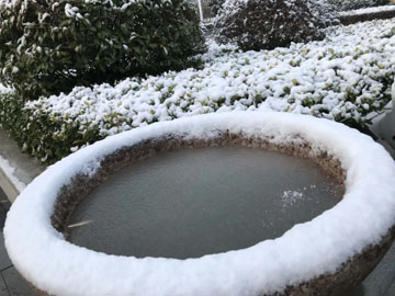 2020年2月15日林榕日记2.jpg 2020年2月15日林榕日记2.jpg