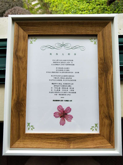 樱花.jpg 樱花.jpg