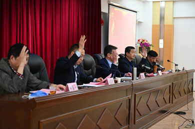 表决.JPG 表决.JPG