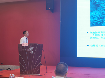 郎兵教授.jpg 郎兵教授.jpg